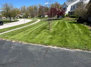Michael B.'s Yard Cutting service result