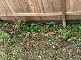Cleanups by Alonzo Wyatt for Ashley S. in Kansas City, MO