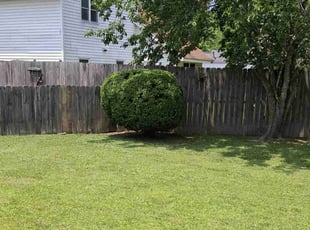 Bush Trimming by Kelvin Gooding for Dan S. in Virginia Beach, VA