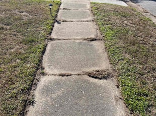 Leaf Removal by Lakeith Carlyle for Ana A. in Norfolk, VA