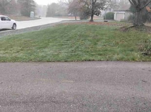 Leaf Removal by Gerald Rowe for Steve F. in Farmington Hills, MI