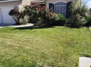 Kelley D.'s Lawn Service service result