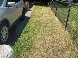 Leaf Removal by Ian Anderson for Cheryl P. in Boston, MA