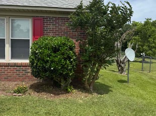 Bush Trimming by Kinnon Tatum for daysha r. in Fayetteville, NC