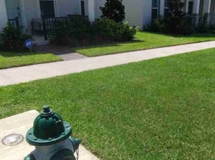 Blondine M.'s Lawn Care service result