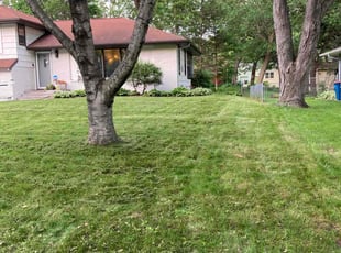 Landscaping by Frank Oliver for Jenny D. in Minneapolis, MN