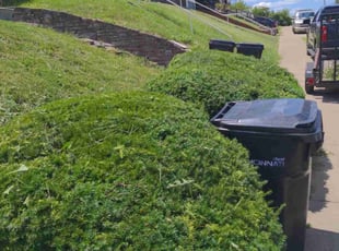 Bush Trimming by Eric Vaske for Cessalea M. in Cincinnati, OH
