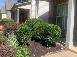 Bush Trimming by Darian Blackwell for Monica T. in Fairburn, GA