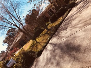 Leaf Removal by LaMario Lewis for Linda F. in Pensacola, FL