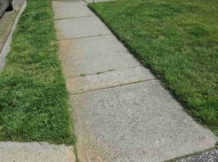 Brenda E.'s Lawn Mowing service result