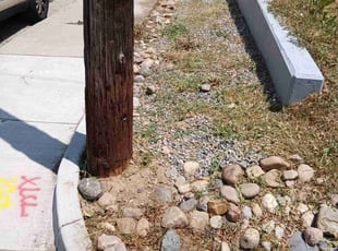 Cleanups by Tom Davis for Suzanne S. in Denver, CO