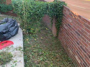 Bush Trimming by Mowpro's Llc for Savannah B. in Irving, TX