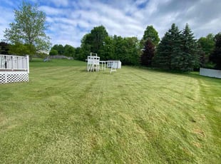 Cleanups by Brian Paparo for Ari C. in Manlius, NY