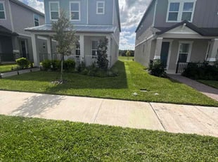 Deanna L.'s Lawn Mowing Service service result