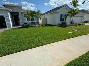 Joan Z.'s Lawn Mowing service result