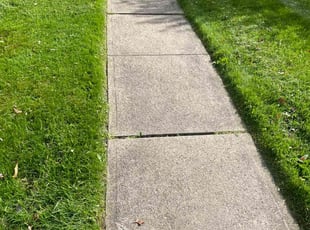 Kimberley C.'s Lawn Mowing Service service result