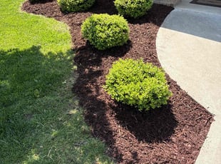 Mulching by Conan Ford for Matthew C. in Asheville, NC