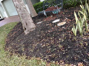 Weeding by Justin Myers for Shari T. in DeLand, FL