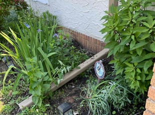 Weeding by Connor Doyle for Sunyung S. in Minneapolis, MN