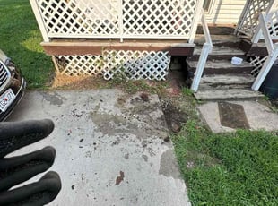 Leaf Removal by Maurice McCrary for Brett L. in Independence, MO