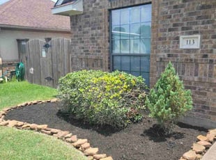 Weeding by Nicholas Paul for Sarah p. in Richwood, TX