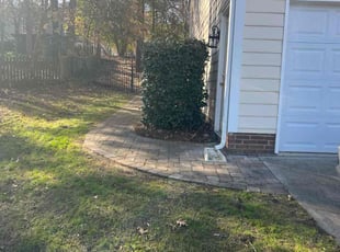 Leaf Removal by Terrance Flowers for Melody C. in Charlotte, NC