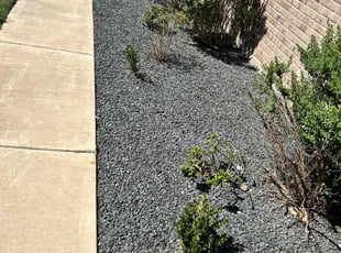 Weeding by Daniel Huerta for Kelley M. in Georgetown, TX