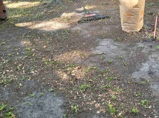 Leaf Removal by Joshua Karnes for James S. in Charleston, SC