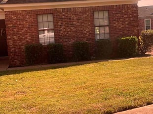 Bush Trimming by Victor Velazquez for Torianeshia B. in Memphis, TN
