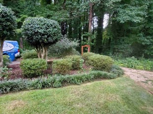 Bush Trimming by LaQuincy Williams for Rosemary L. in Riverdale, GA