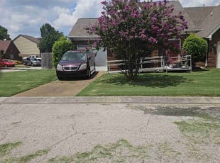Roj R.'s Yard Cutting service result