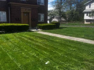 Bush Trimming by James Abernathy for Lindsay C. in Cincinnati, OH