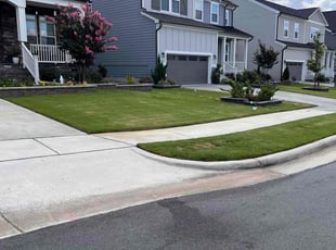 Patti P.'s Lawn Mowing service result