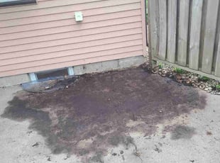 Cleanups by Natatia Frame for Shauntala B. in Minneapolis, MN