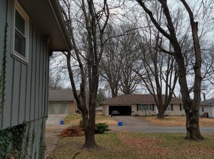 Leaf Removal by Steve Flint for Sarah F. in Kansas City, MO