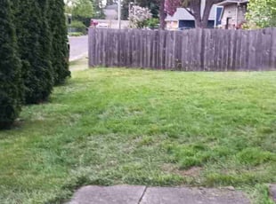 Angel G.'s Cleanups service result