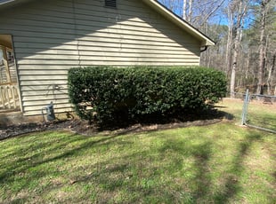 Bush Trimming by Andrew White for Michael C. in Stockbridge, GA