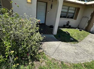 Bush Trimming by Bryan Redmon for Erica F. in Clearwater, FL