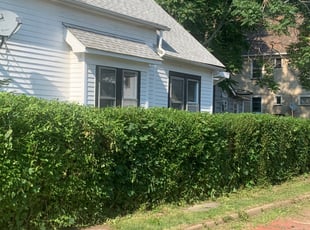 Bush Trimming by Charles Hinton for Yakini H. in Cleveland, OH