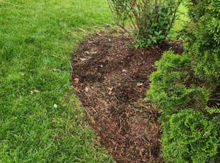 Weeding by Bartolo Alvarez for Biren J. in Bowie, MD