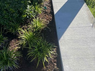 Weeding by Patrick Paul for William S. in Minneola, FL