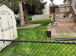 Gina C.'s Lawn Maintenance service result
