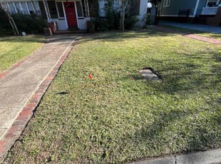 Louwanna E.'s Lawn Maintenance service result