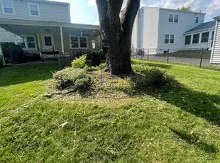 Weeding by Curtis Day for Neal P. in Warminster, PA