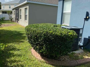 Bush Trimming by Joshua Gerrard for Jason B. in Riverview, FL