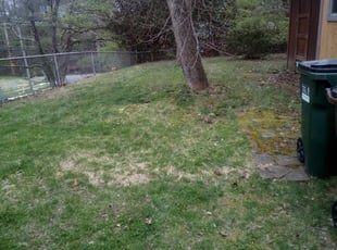 Leaf Removal by Ras Tosh Tafari for Damita M. in Cincinnati, OH