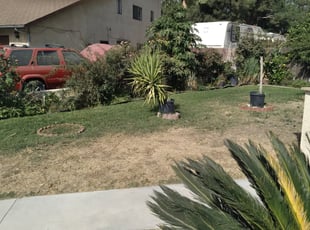 Leaf Removal by Jashua Parra for Marylen A. in San Bernardino, CA
