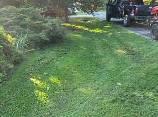 Cleanups by Shanta Privette for Jeanne H. in Apex, NC