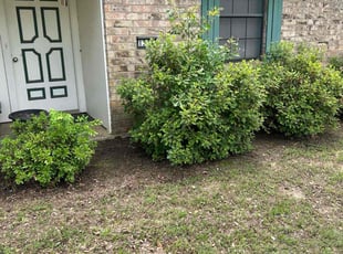 Leaf Removal by Tristin Evans for Laurie M. in Longview, TX