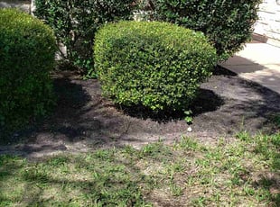 Cleanups by Juliana Ledezma for Carl F. in Round Rock, TX
